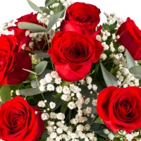 Buchet 7 trandafiri rosii premium 4
